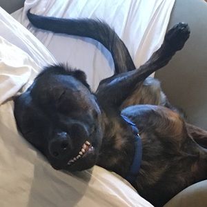 Meet your Posher, Nina